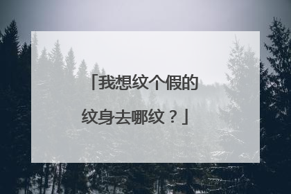 我想纹个假的纹身去哪纹?