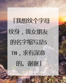 我想纹个字母纹身，我女朋友的名字缩写是STN，求有深意的。谢谢