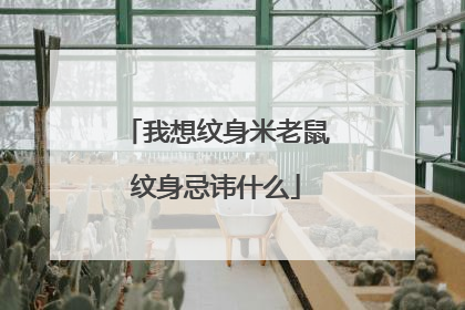 我想纹身米老鼠纹身忌讳什么