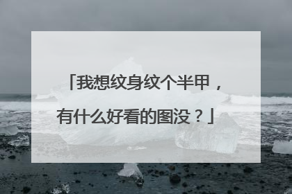 我想纹身纹个半甲，有什么好看的图没？
