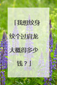 我想纹身纹个过肩龙大概得多少钱？
