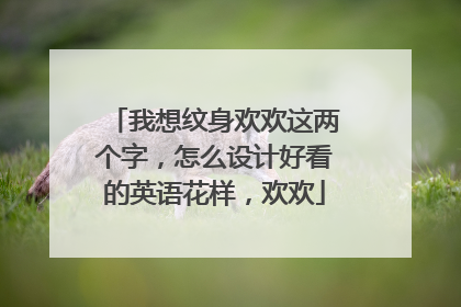 我想纹身欢欢这两个字，怎么设计好看的英语花样，欢欢