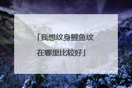 我想纹身鲤鱼纹在哪里比较好