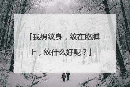 我想纹身，纹在胳膊上，纹什么好呢？