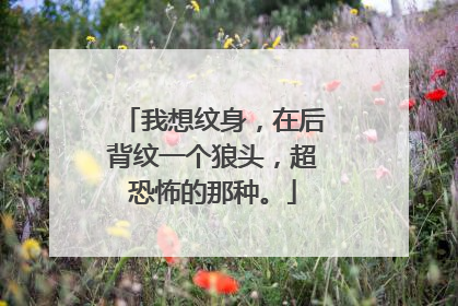 我想纹身，在后背纹一个狼头，超恐怖的那种。