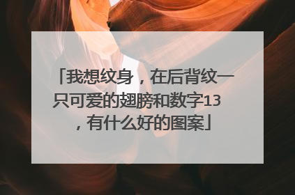 我想纹身，在后背纹一只可爱的翅膀和数字13，有什么好的图案