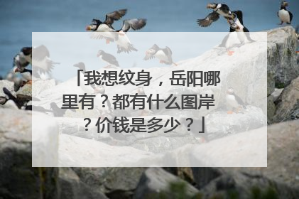 我想纹身，岳阳哪里有？都有什么图岸？价钱是多少？