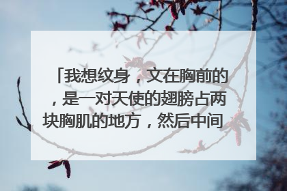 我想纹身，文在胸前的，是一对天使的翅膀占两块胸肌的地方，然后中间把自己的女朋友上半身文上去，求这种