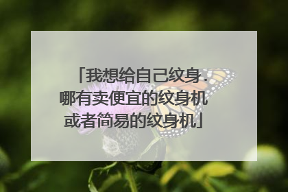 我想给自己纹身.哪有卖便宜的纹身机或者简易的纹身机