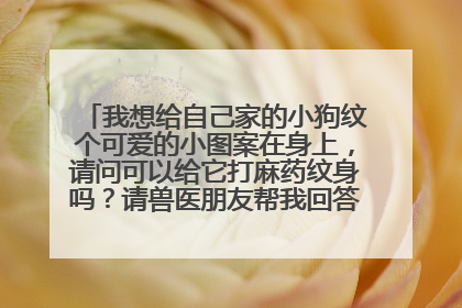 我想给自己家的小狗纹个可爱的小图案在身上，请问可以给它打麻药纹身吗？请兽医朋友帮我回答一下，谢谢！