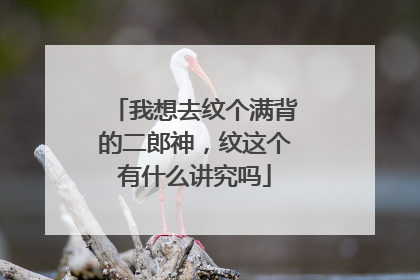 我想去纹个满背的二郎神，纹这个有什么讲究吗