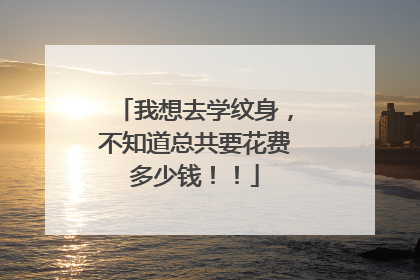 我想去学纹身，不知道总共要花费多少钱！！
