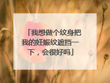 我想做个纹身把我的妊娠纹遮挡一下，会很好吗