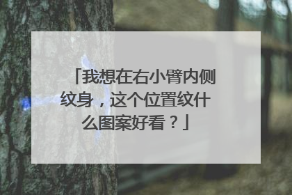 我想在右小臂内侧纹身，这个位置纹什么图案好看？