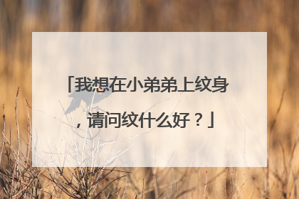 我想在小弟弟上纹身，请问纹什么好？