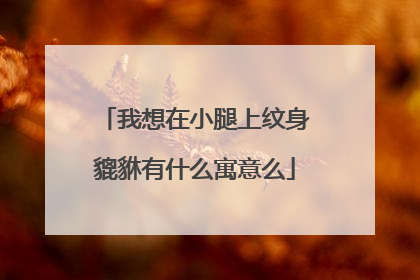 我想在小腿上纹身貔貅有什么寓意么