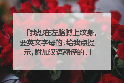 我想在左胳膊上纹身,要英文字母的.给我点提示,附加汉语翻译的.