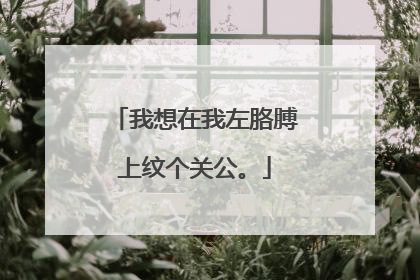 我想在我左胳膊上纹个关公。