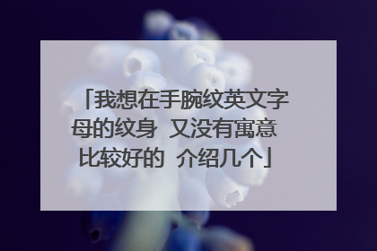我想在手腕纹英文字母的纹身 又没有寓意比较好的 介绍几个