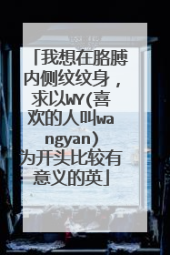 我想在胳膊内侧纹纹身，求以WY(喜欢的人叫wangyan)为开头比较有意义的英
