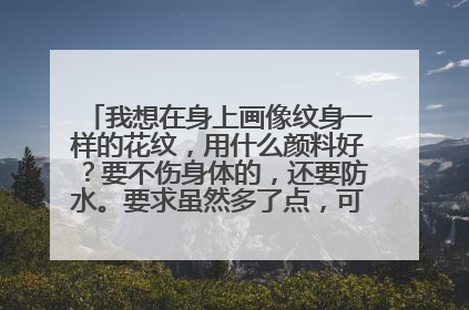 我想在身上画像纹身一样的花纹，用什么颜料好？要不伤身体的，还要防水。要求虽然多了点，可是回报丰厚哦