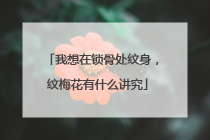 我想在锁骨处纹身，纹梅花有什么讲究