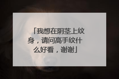 我想在阴茎上纹身，请问高手纹什么好看，谢谢