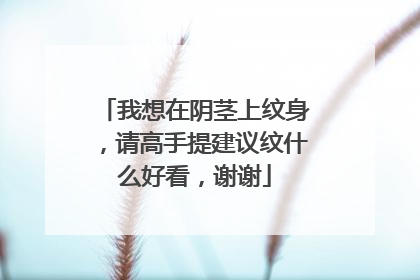 我想在阴茎上纹身，请高手提建议纹什么好看，谢谢