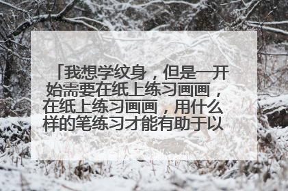 我想学纹身,但是一开始需要在纸上练习画画,在纸上练习画画,用什么样的笔练习才能有助于以后更能够灵活