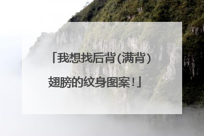 我想找后背(满背)翅膀的纹身图案!