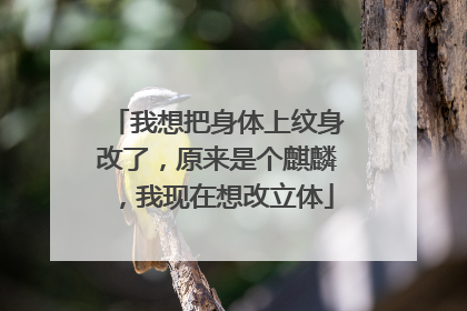 我想把身体上纹身改了，原来是个麒麟，我现在想改立体