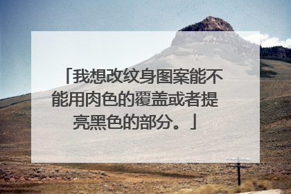 我想改纹身图案能不能用肉色的覆盖或者提亮黑色的部分。