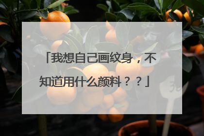 我想自己画纹身，不知道用什么颜料？？