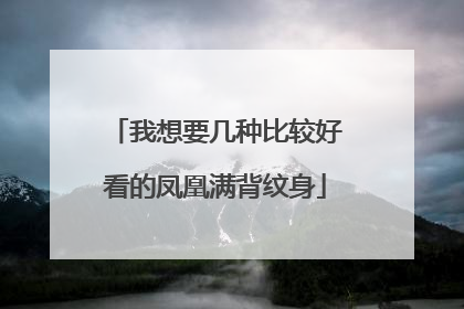 我想要几种比较好看的凤凰满背纹身