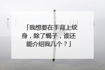 我想要在手背上纹身，除了蝎子，谁还能介绍我几个？