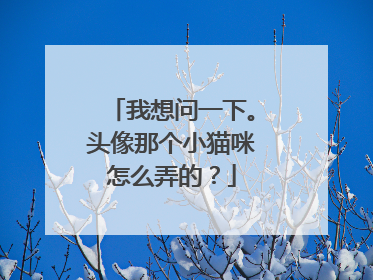 我想问一下。头像那个小猫咪怎么弄的？
