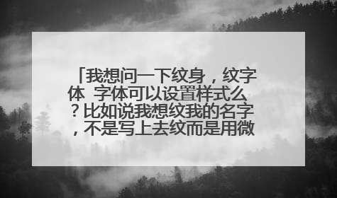 我想问一下纹身，纹字体 字体可以设置样式么？比如说我想纹我的名字，不是写上去纹而是用微软雅黑之类的