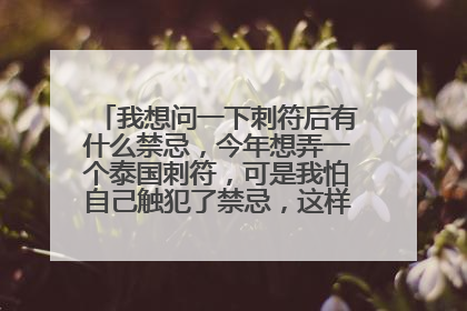 我想问一下刺符后有什么禁忌，今年想弄一个泰国刺符，可是我怕自己触犯了禁忌，这样就白白浪费钱了。