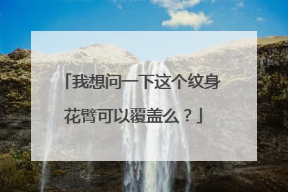 我想问一下这个纹身花臂可以覆盖么？