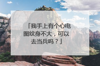 我手上有个心电图纹身不大，可以去当兵吗？