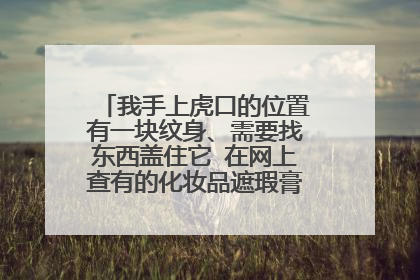 我手上虎口的位置有一块纹身、需要找东西盖住它 在网上查有的化妆品遮瑕膏可以盖住纹身、有没有更好的建议