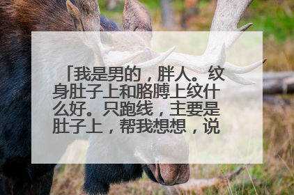 我是男的，胖人。纹身肚子上和胳膊上纹什么好。只跑线，主要是肚子上，帮我想想，说弥勒佛的就不要说了