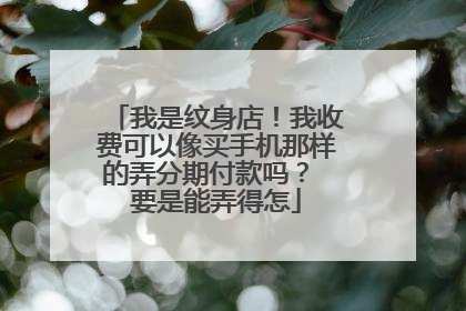 我是纹身店！我收费可以像买手机那样的弄分期付款吗？ 要是能弄得怎
