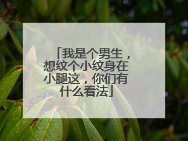 我是个男生，想纹个小纹身在小腿这，你们有什么看法