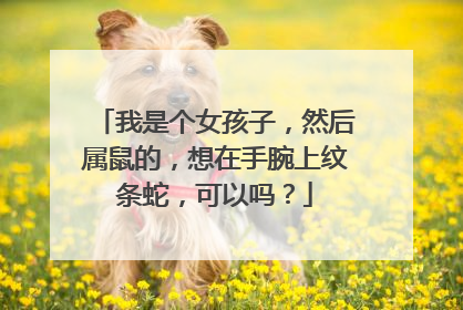 我是个女孩子，然后属鼠的，想在手腕上纹条蛇，可以吗？