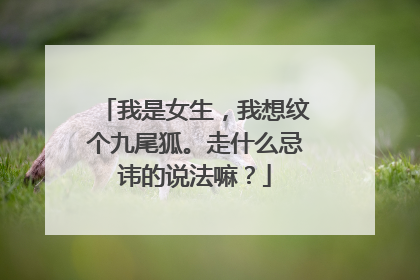 我是女生，我想纹个九尾狐。走什么忌讳的说法嘛？