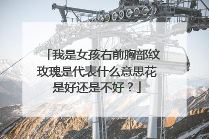 我是女孩右前胸部纹玫瑰是代表什么意思花是好还是不好？