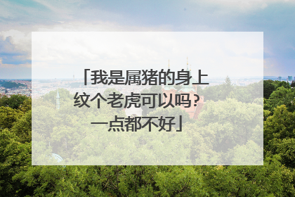 我是属猪的身上纹个老虎可以吗?一点都不好