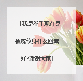 我是拳手现在是教练纹身什么图案好?谢谢大家
