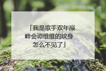 我是歌手双年巅峰会谭维维的纹身怎么不见了